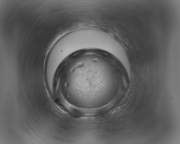 X0000052640052200507011357