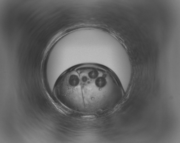 X0000052640053200507011357