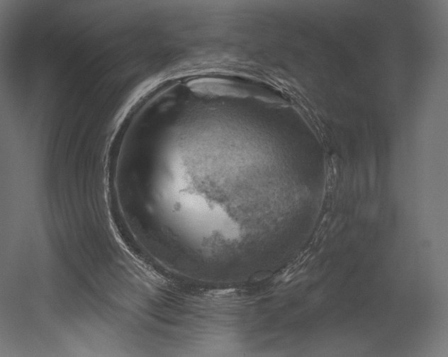 X0000052640054200507011357