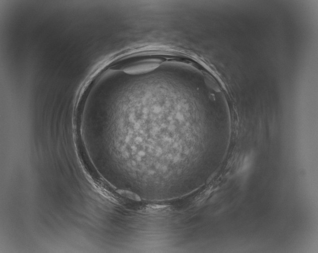 X0000052640055200507011357