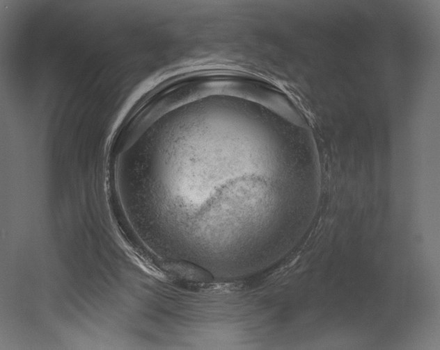 X0000052640056200507011357