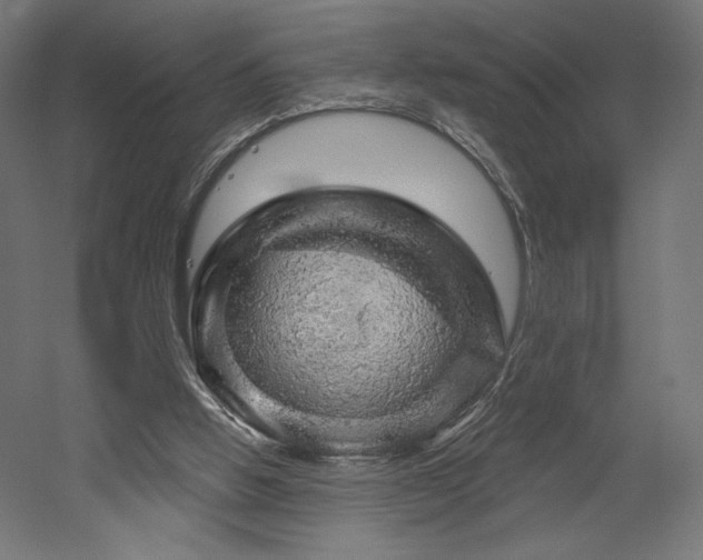 X0000052640058200507011357