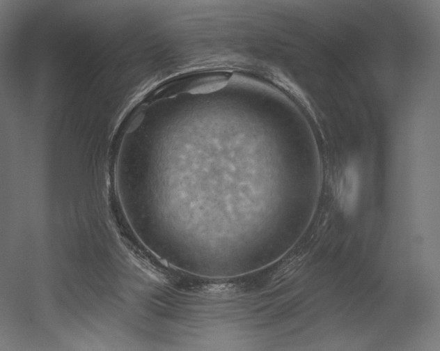 X0000052640059200507011357