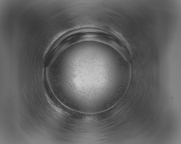 X0000052640060200507011357