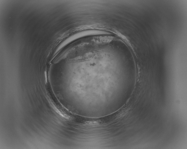 X0000052640061200507011357