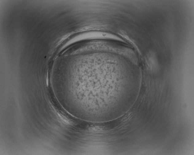 X0000052640062200507011357