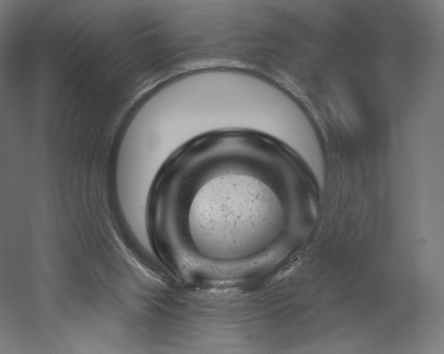 X0000052640063200507011357