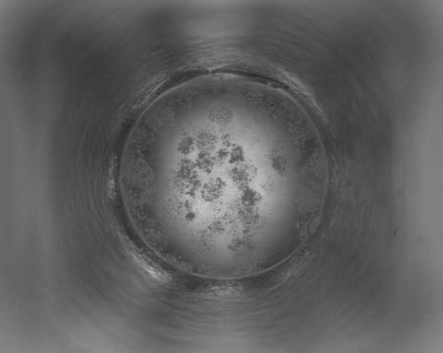 X0000052640065200507011357