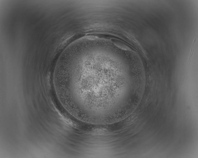 X0000052640066200507011357