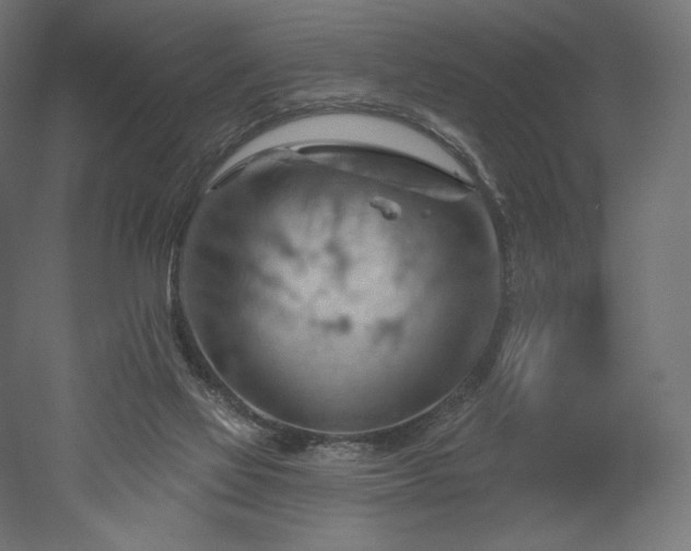 X0000052640069200507011357