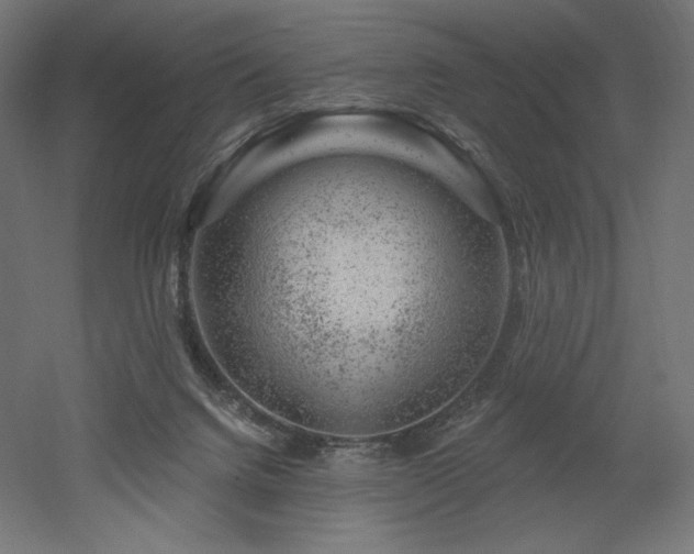 X0000052640072200507011357