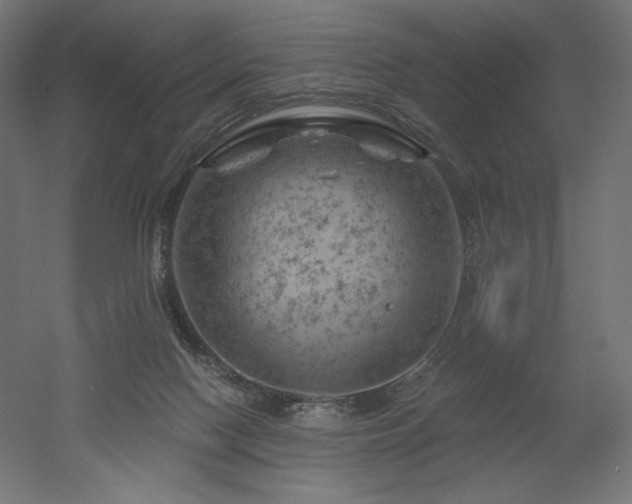 X0000052640074200507011357