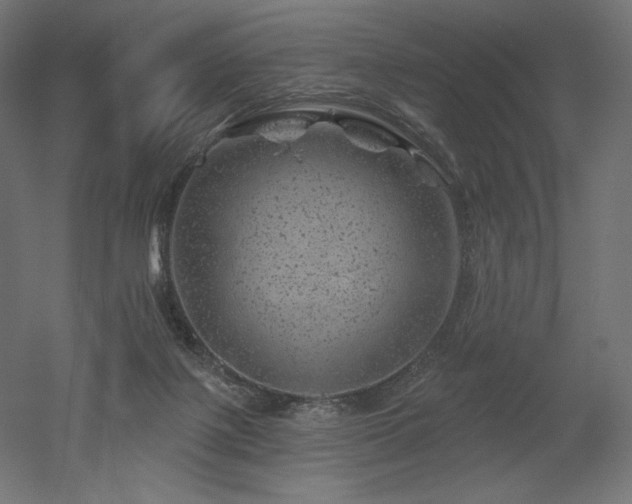 X0000052640075200507011357