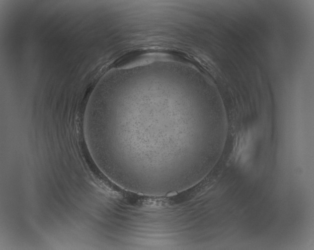 X0000052640077200507011357