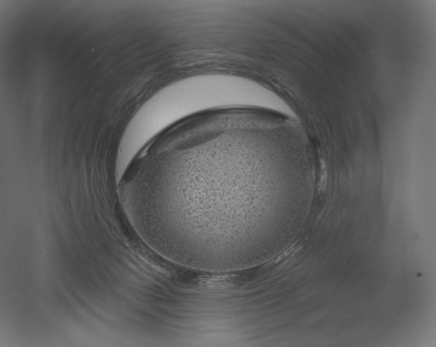 X0000052640078200507011357