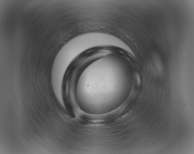 X0000052640079200507011357