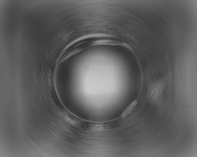 X0000052640083200507011357