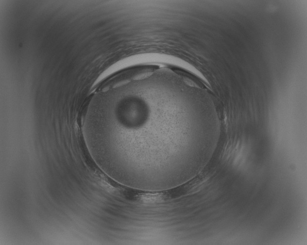 X0000052640085200507011357