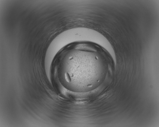 X0000052640088200507011357