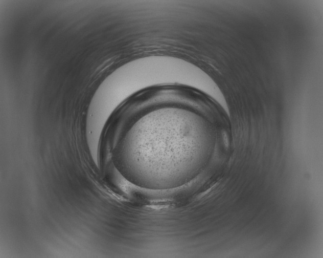 X0000052640092200507011357