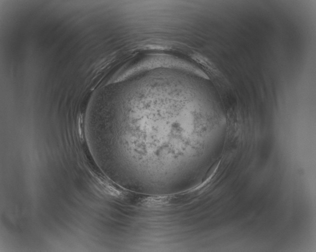 X0000052640094200507011357