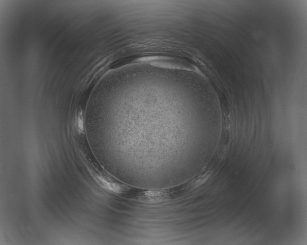 X0000052640095200507011357