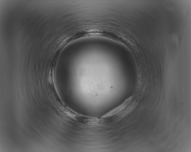 X0000052640096200507011357