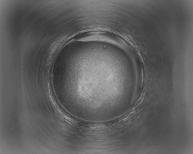 X0000052640097200507011357