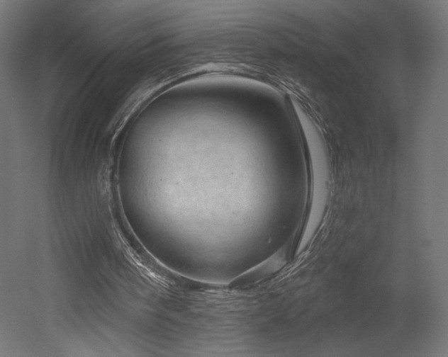 X0000052640098200507011357