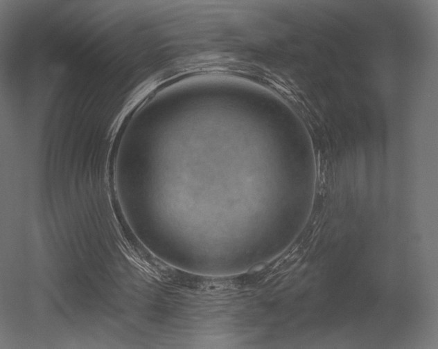 X0000052640099200507011357