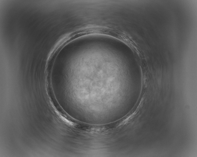 X0000052640101200507011357