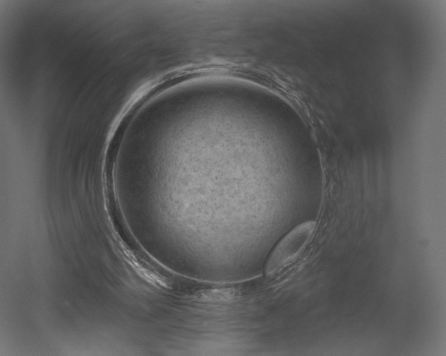 X0000052640102200507011357