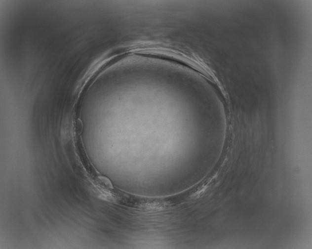 X0000052640103200507011357