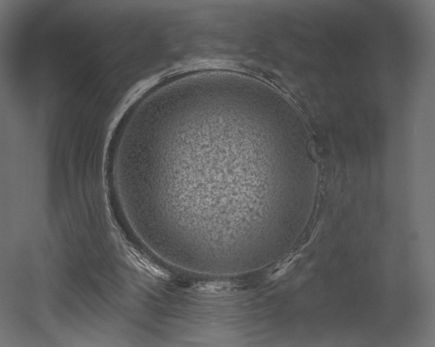 X0000052640104200507011357