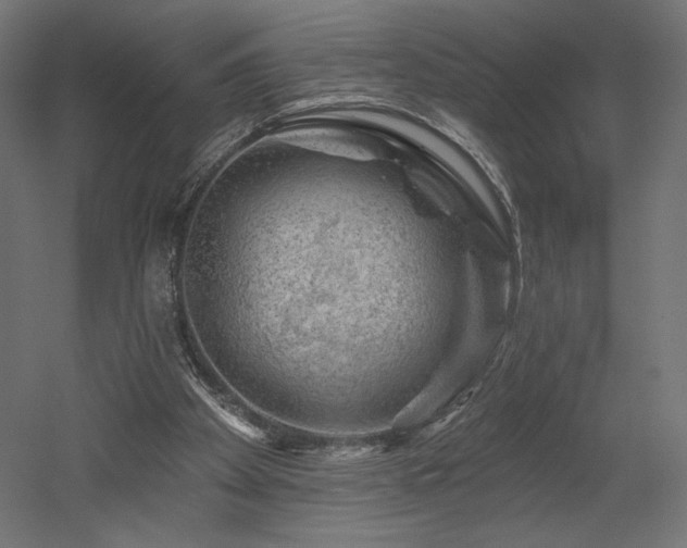 X0000052640105200507011357