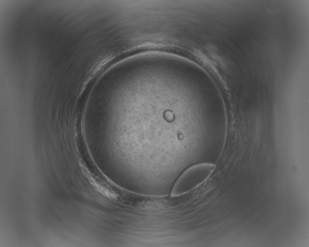 X0000052640106200507011356