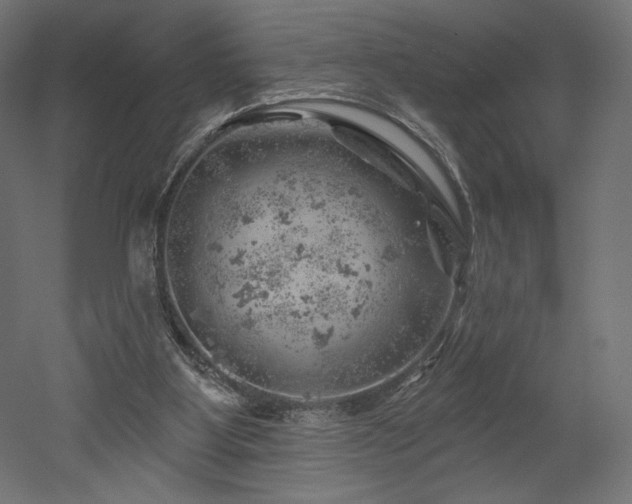 X0000052640107200507011356