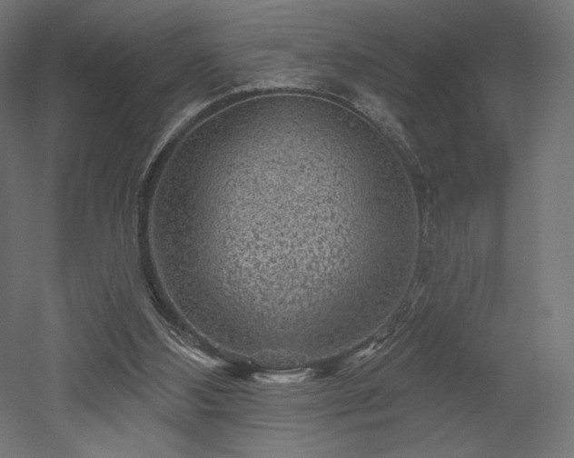 X0000052640108200507011356