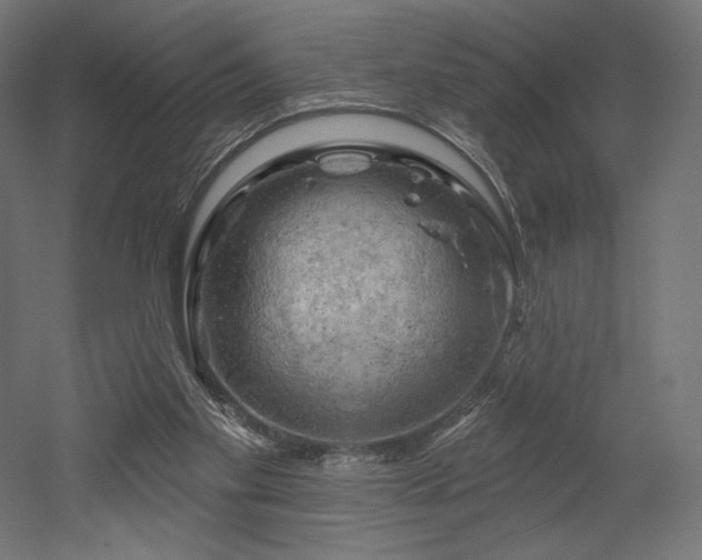 X0000052640109200507011356