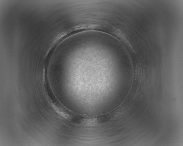 X0000052640110200507011356