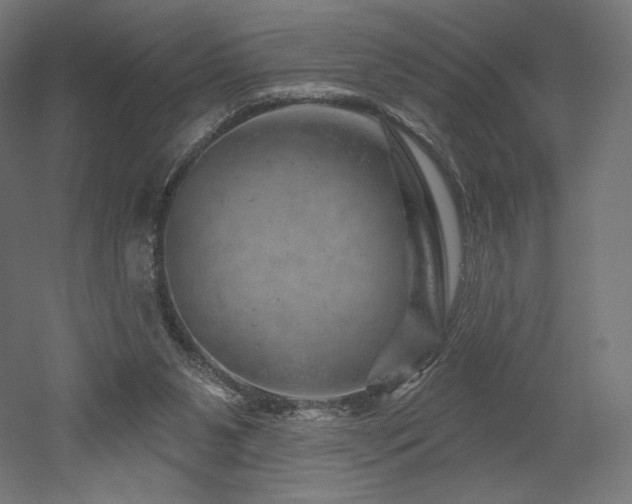 X0000052640111200507011356