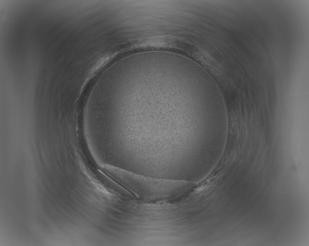 X0000052640112200507011356