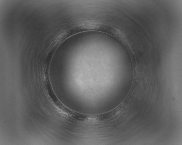 X0000052640114200507011356