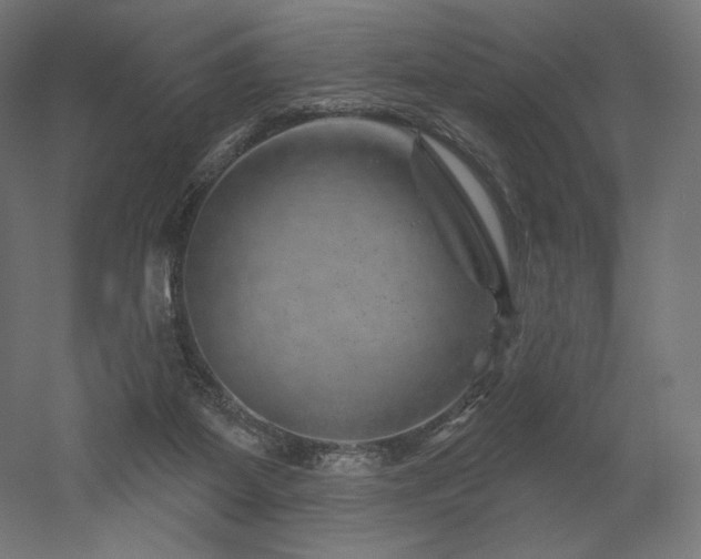 X0000052640115200507011356