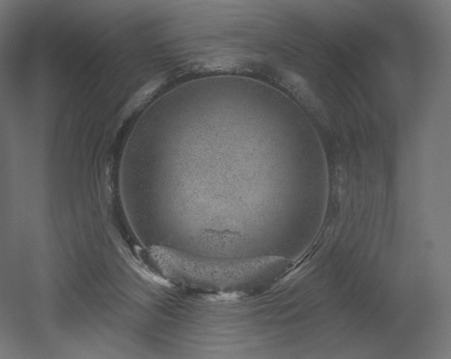 X0000052640116200507011356