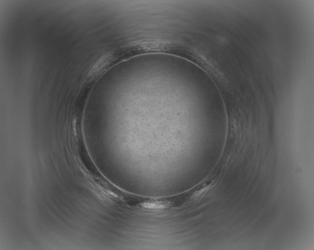 X0000052640117200507011356