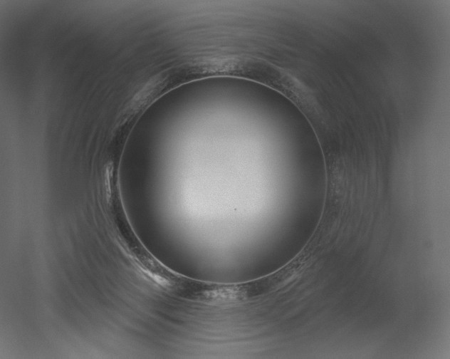 X0000052640118200507011356