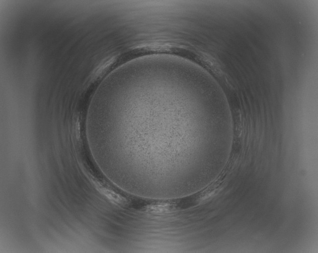 X0000052640120200507011356