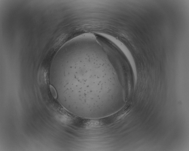 X0000052640123200507011356