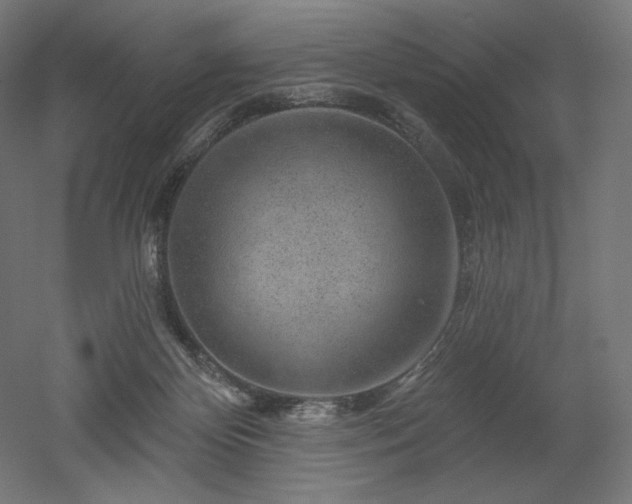 X0000052640124200507011356